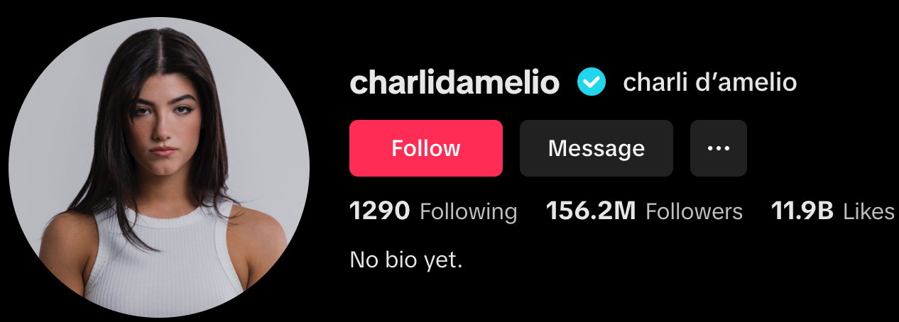Charli D’Amelio TikTok Profile